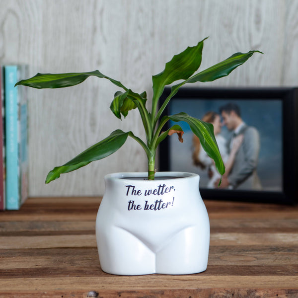 Boxer Gifts - The Wetter The Better Put Some Plants On - Novelty Planter