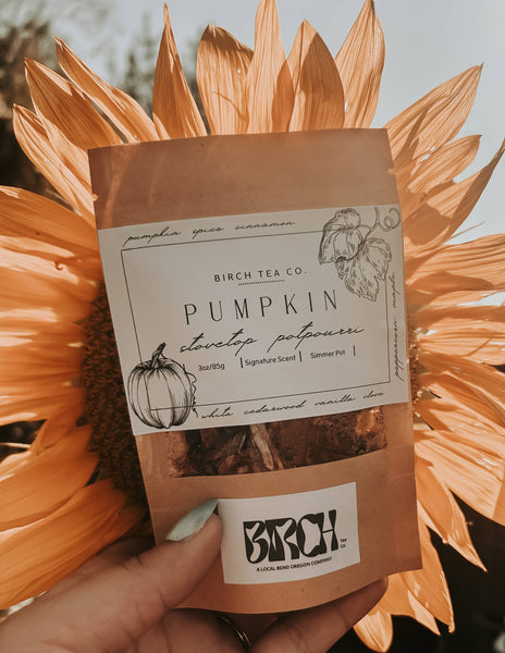 Birch Tea Co. - Pumpkin Potpourri Stovetop Kit 