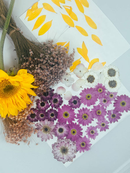 AlwaysJean - Pressed Flower Claw Clips *NEW SPRING COLLECTION*: Neutral Tones