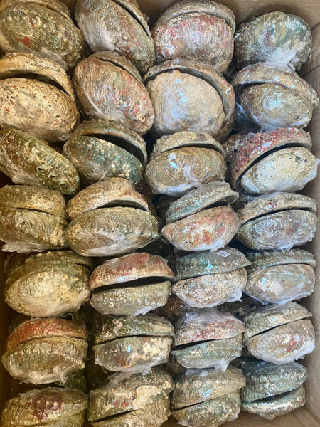 Faiza Naturals - Abalone Shell Smudge Bowls (Medium): Medium