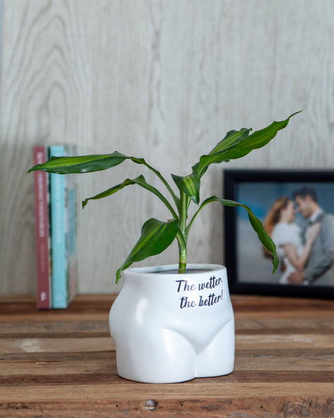 Boxer Gifts - The Wetter The Better Put Some Plants On - Novelty Planter