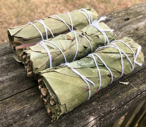 Love&Lust LLC - EUCALYPTUS Smudge Stick 4" Bundle for Ceremony, Meditation